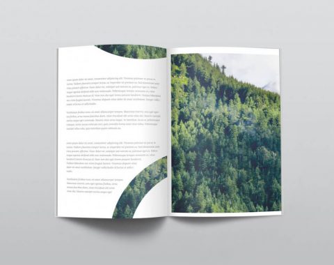 magazine-mockup3x-1000x750